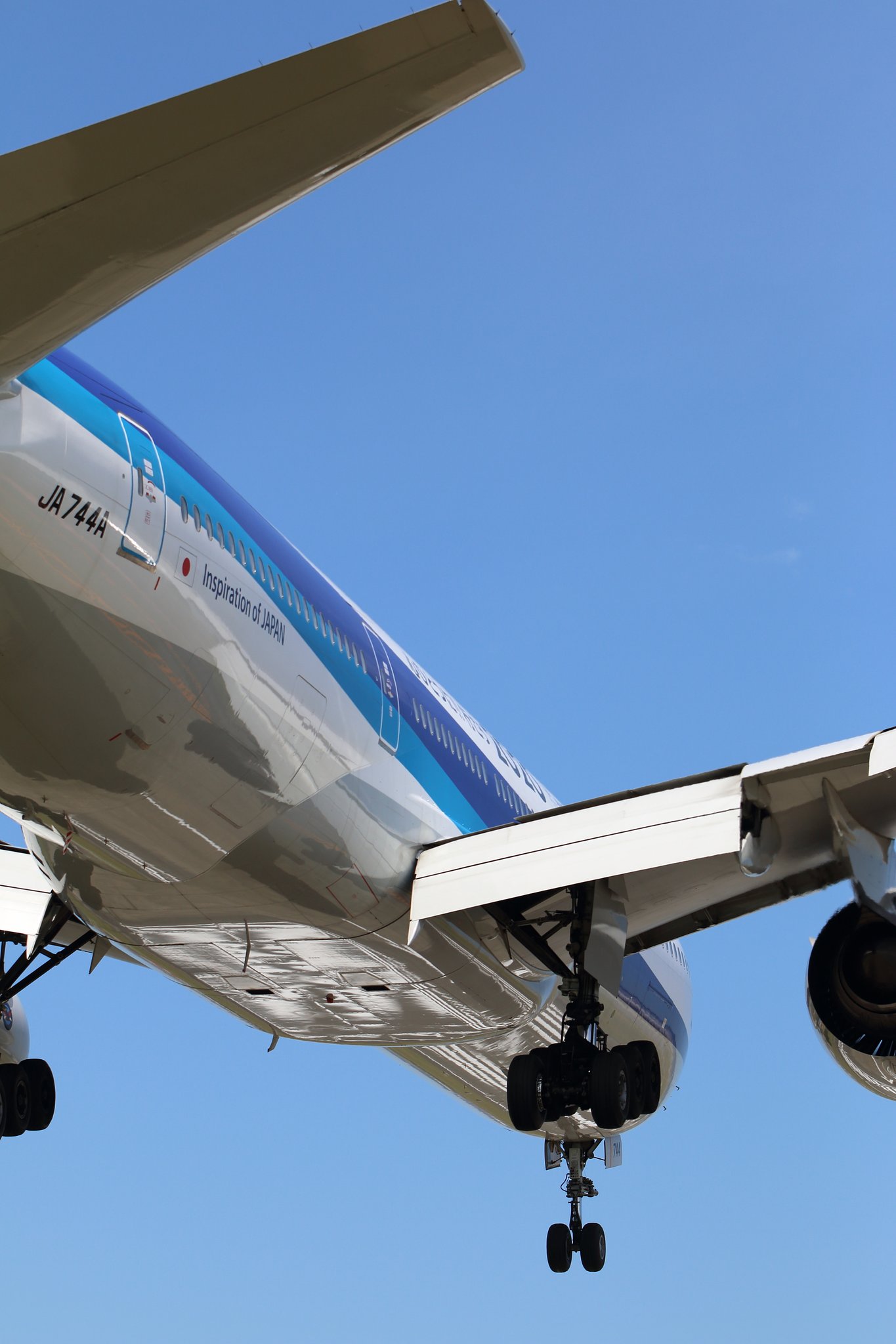 空飛ぶ青いクジラ
