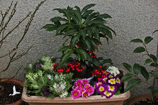 1月18日の写真