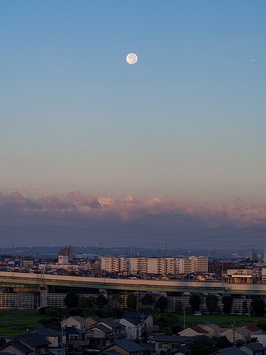 【夏】今朝の月 Ⅱ