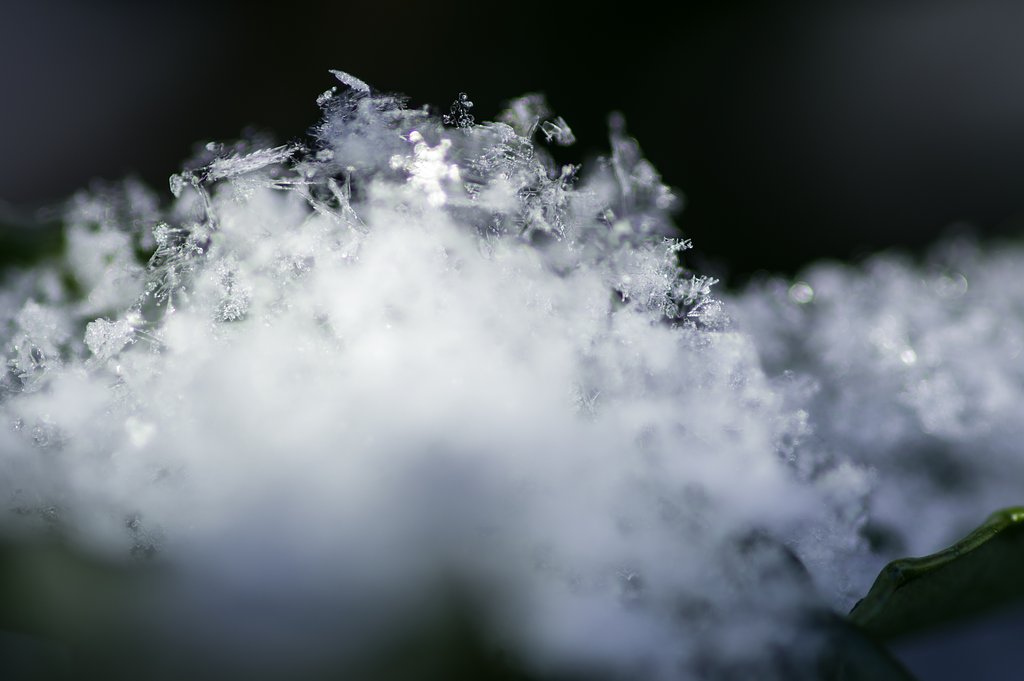 Winter jewel on the leaves