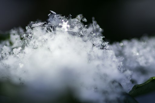 Winter jewel on the leaves
