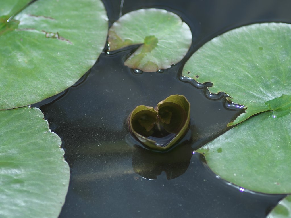♡