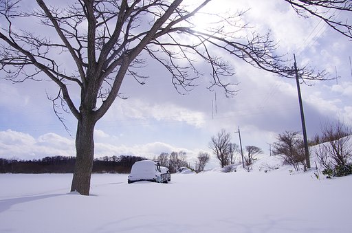 雪に埋まりました