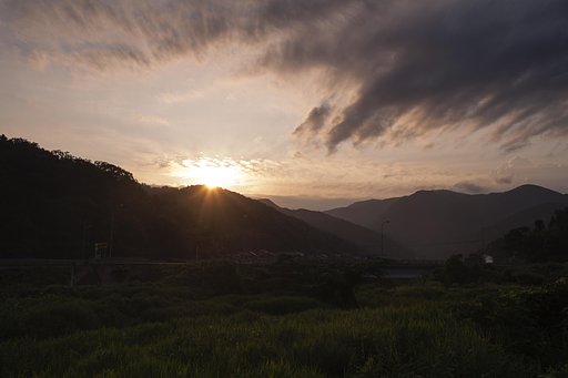 雨の前触れ