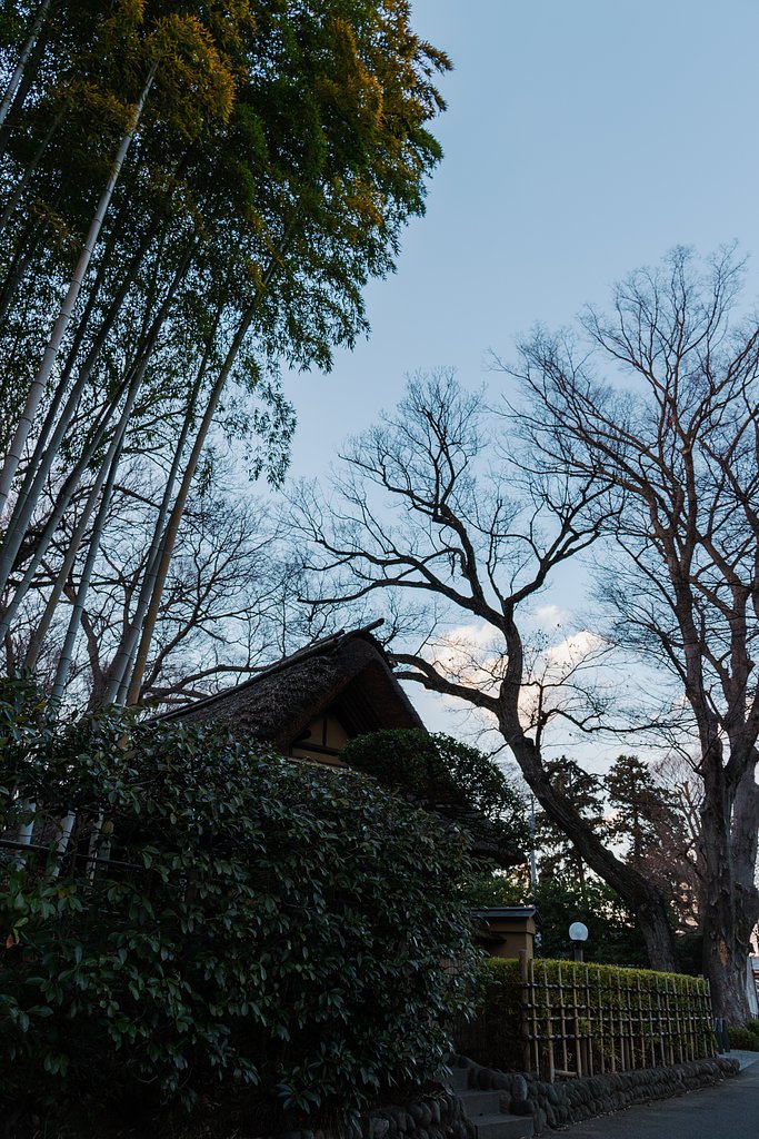 夕暮れの散歩道