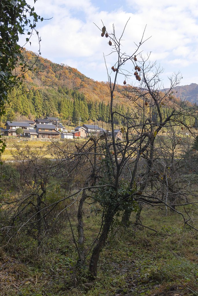 柿食う稽古