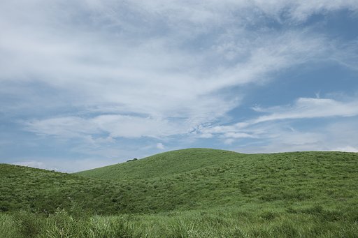 ８月の丘