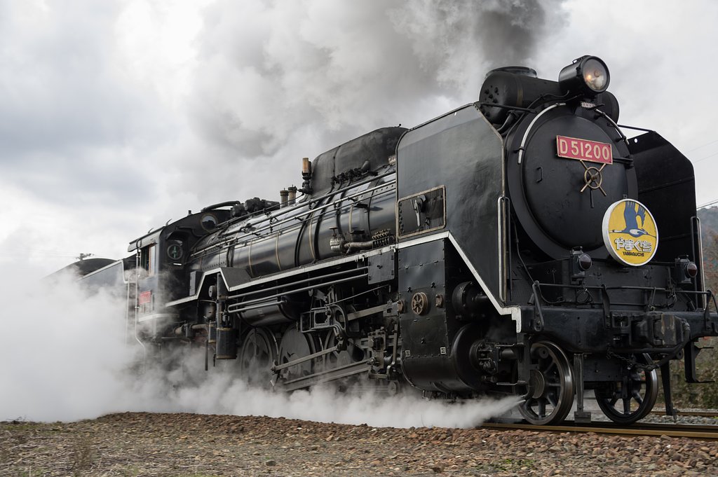 D51
