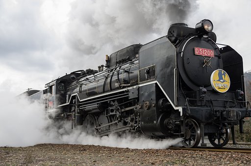 D51