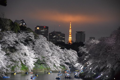 千鳥ヶ淵