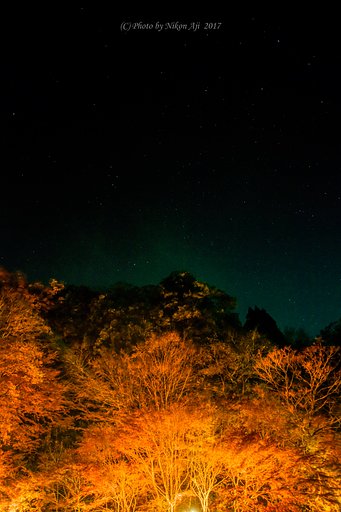 紅葉と星空