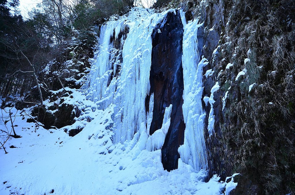 天城山　芭蕉の滝