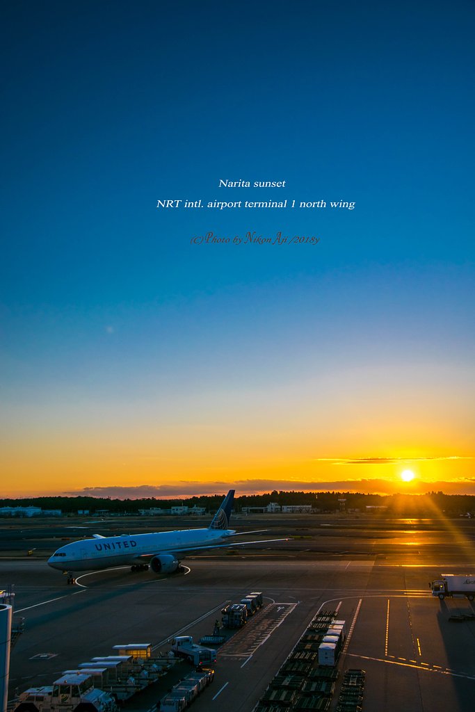 Narita Sunset