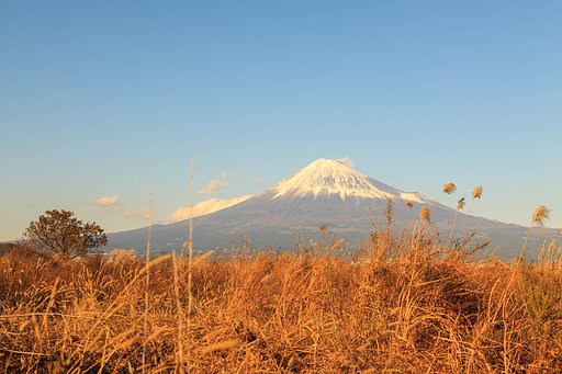 自動補正