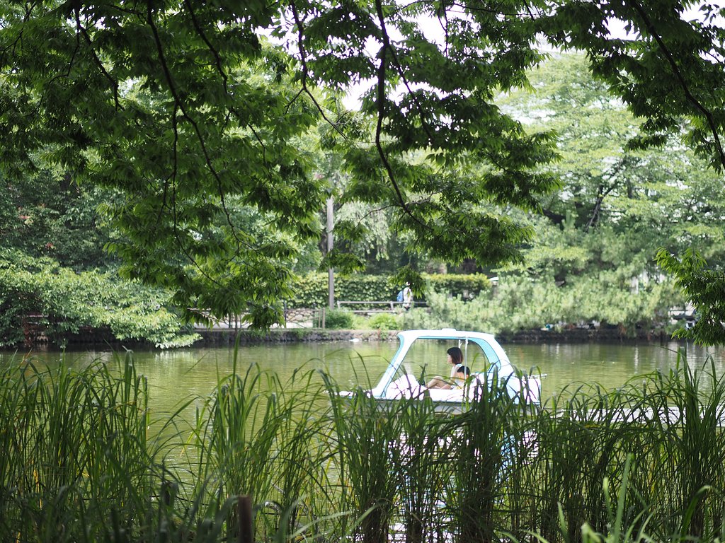 濃緑の水辺