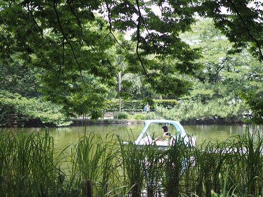 濃緑の水辺