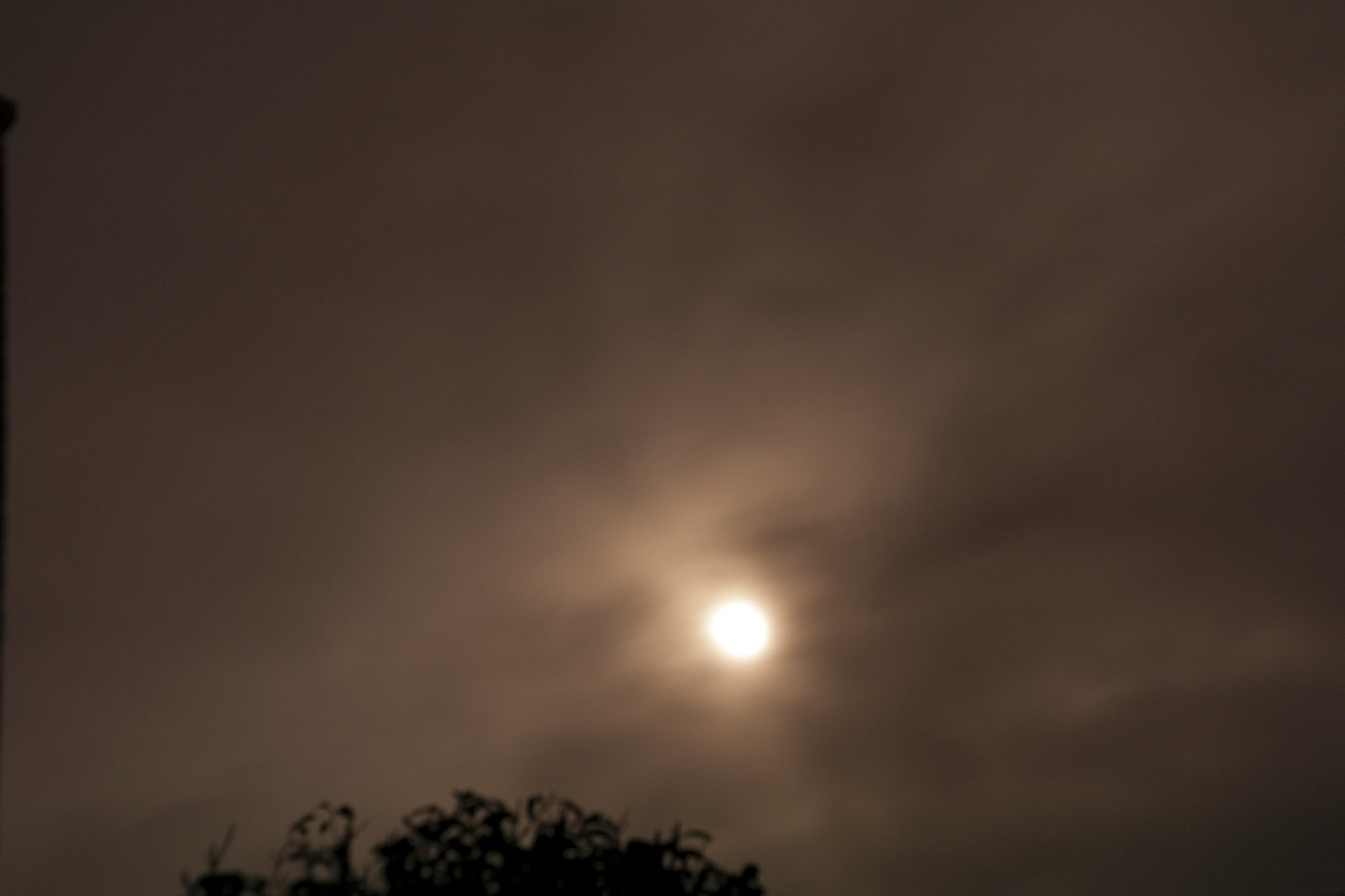 朧月夜
