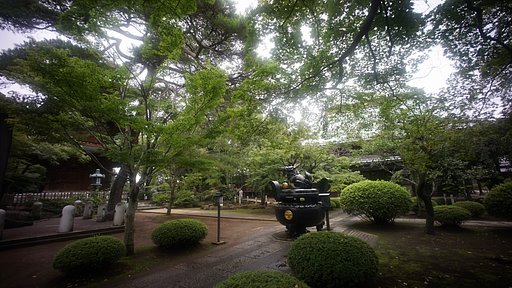 日差しが欲しい