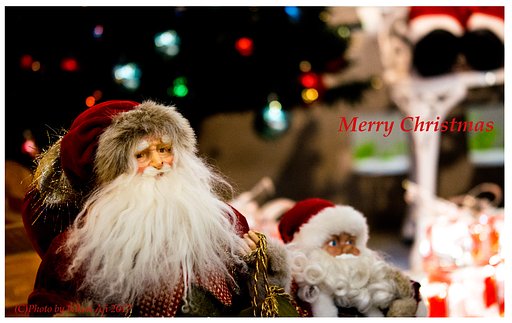 ♪Merry X'mas♪