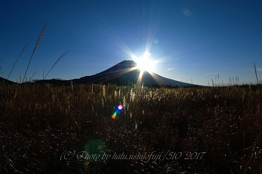 眩しさ満点