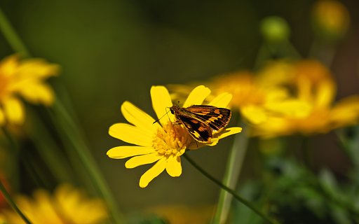10月4日の写真