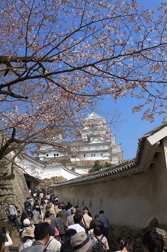 将軍坂は大賑わい