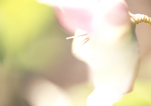 まぶしいぃ