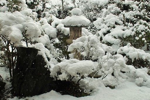 自宅の庭