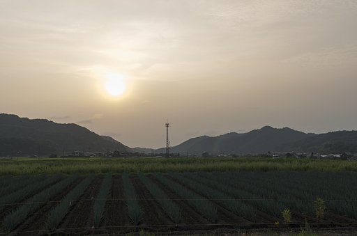 梅雨に後戻り