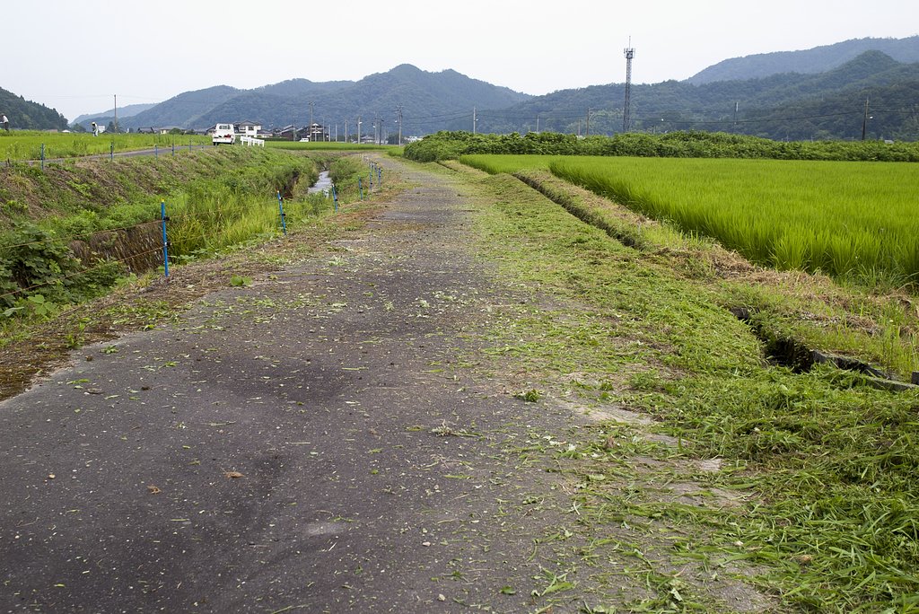 楽しい作業