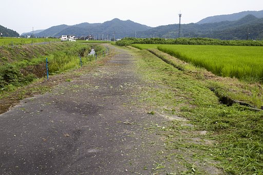 楽しい作業