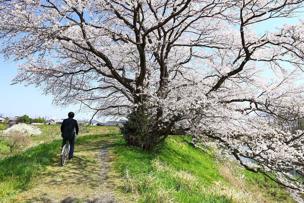 颯爽と・・・