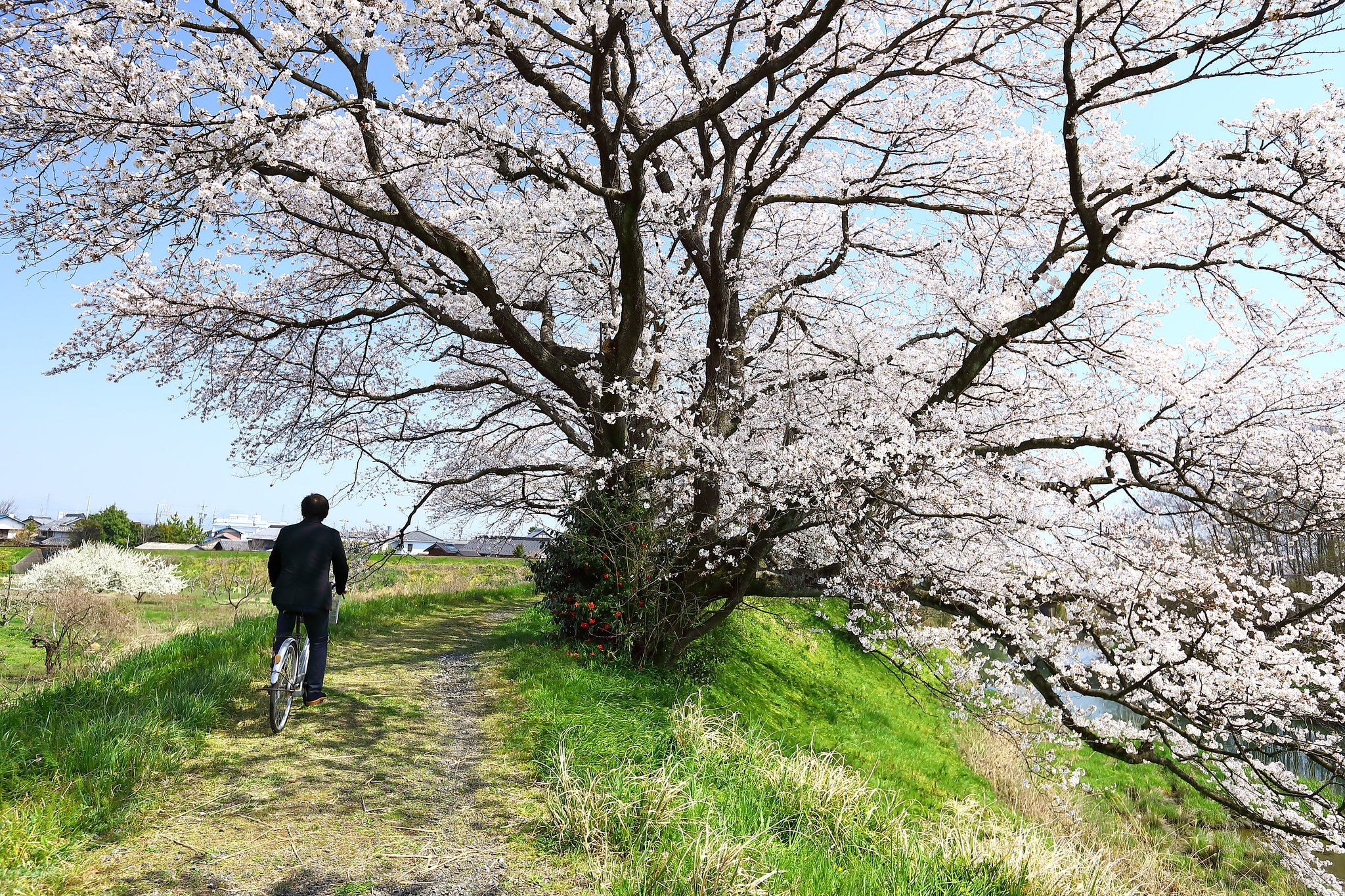 颯爽と・・・
