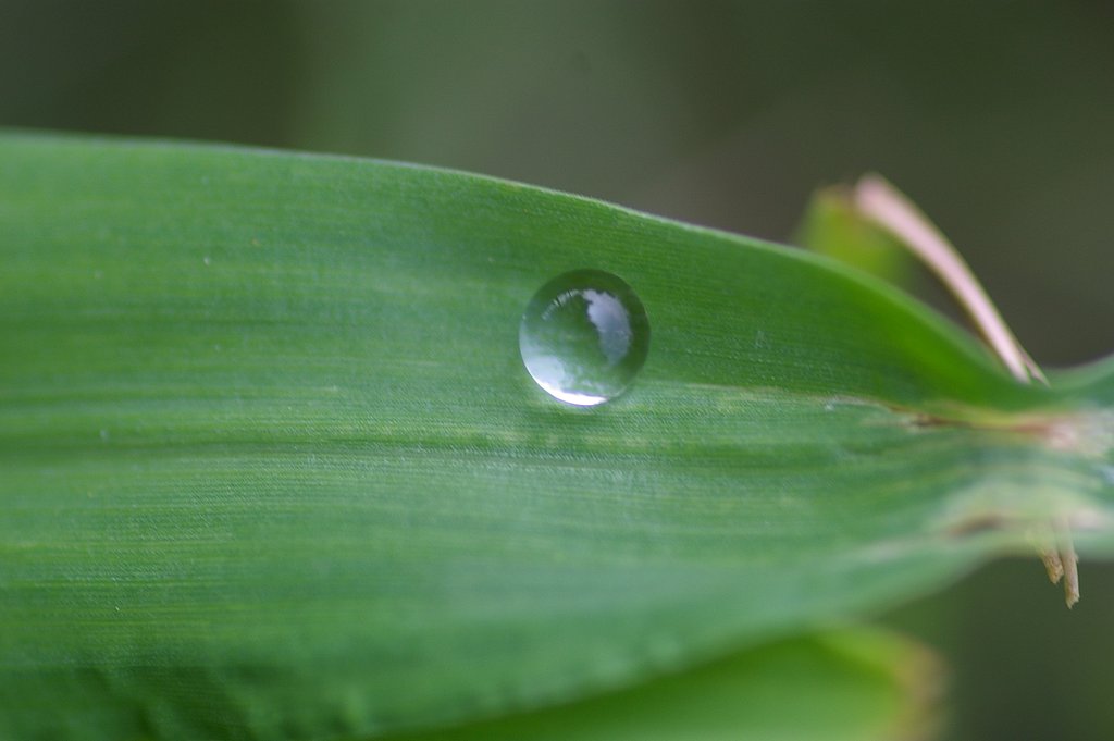 水晶玉