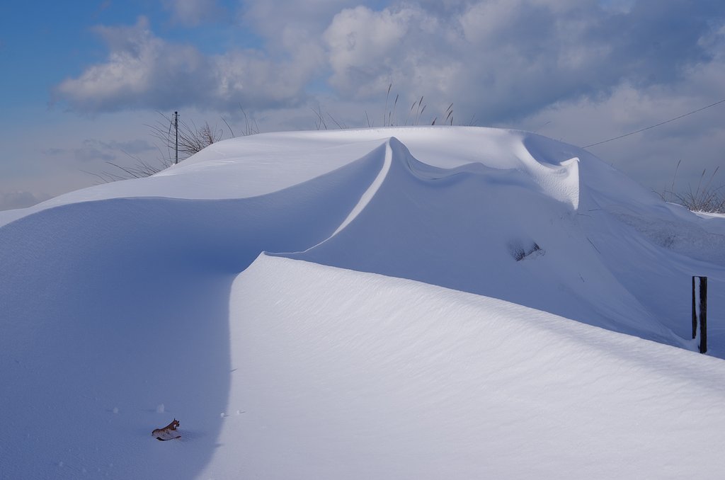 吹雪のお土産