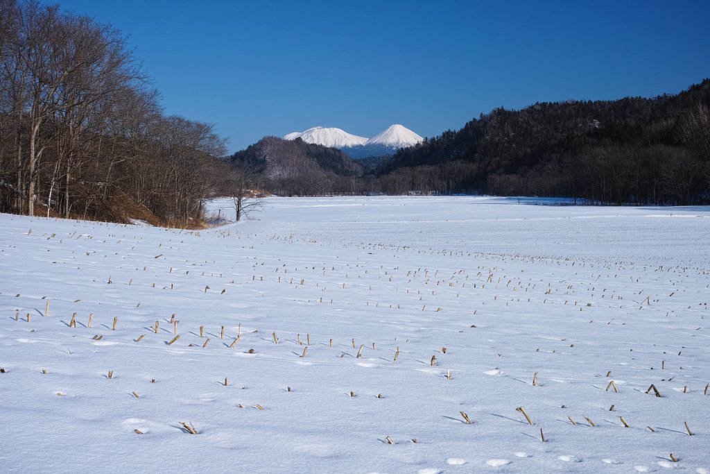 足寄町