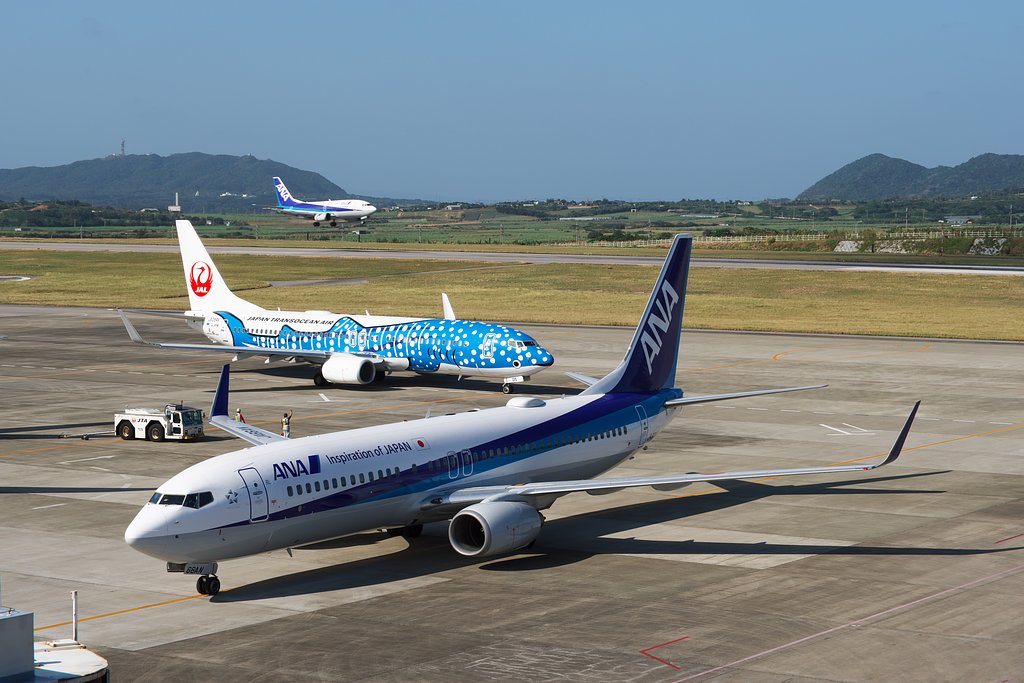 とある離島の混雑空港