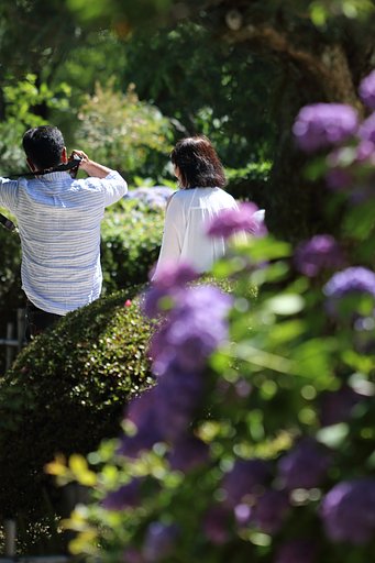 夏も逃げる8月