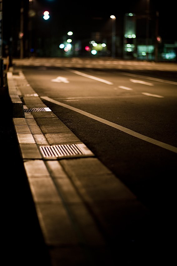 蛍撮影、惨敗の夜に