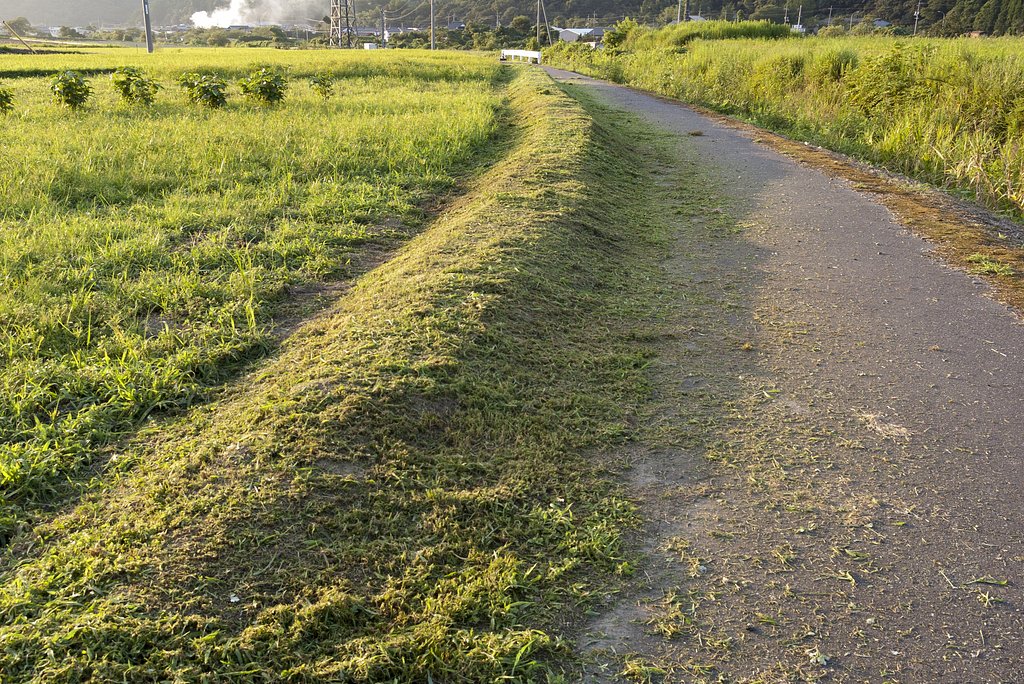 草刈正雄の日