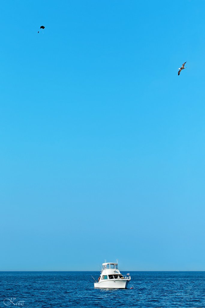 【夏】空に高く