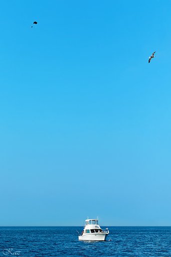 【夏】空に高く