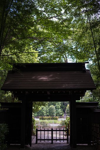 試写３