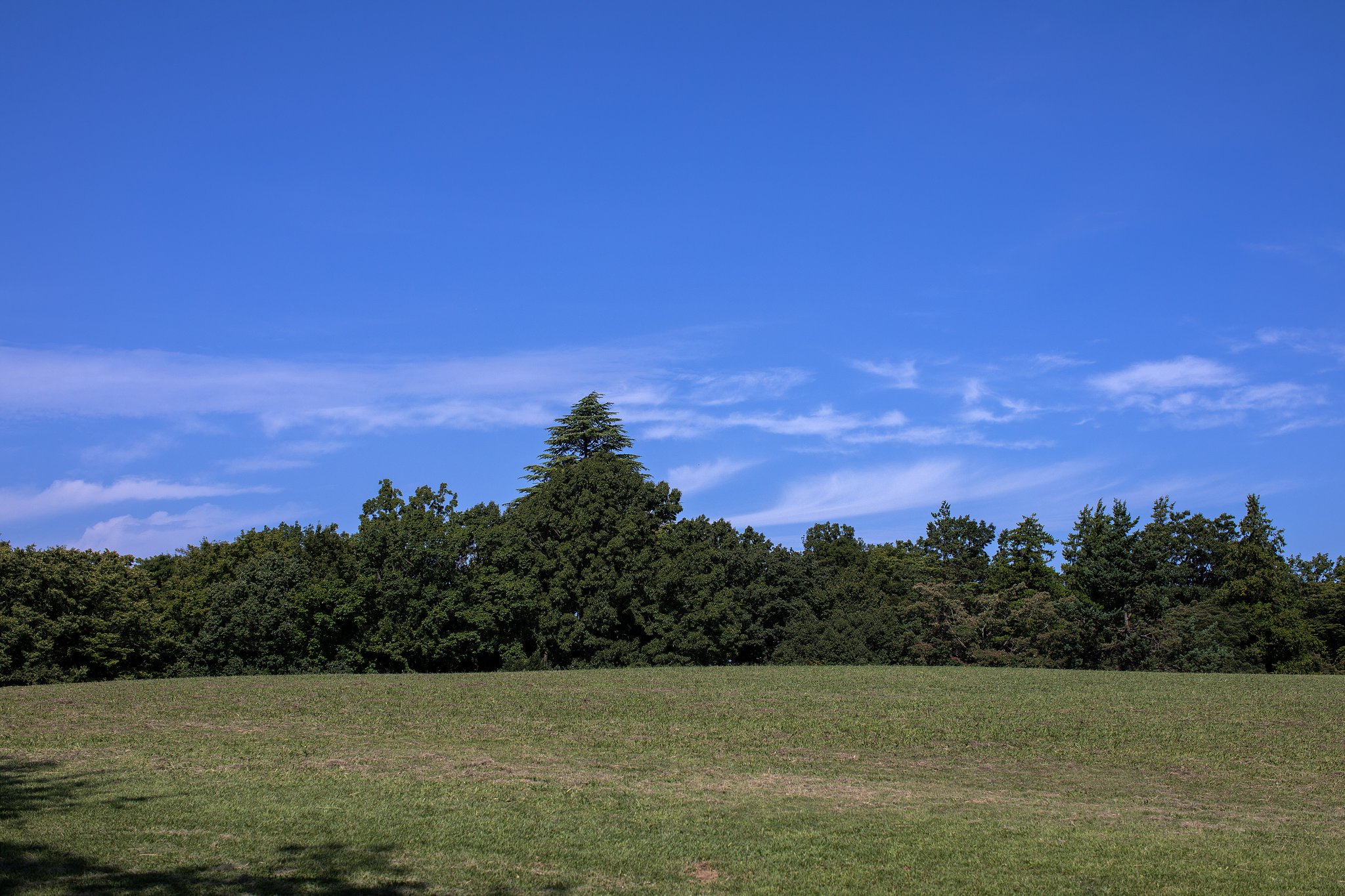 空が澄んできました
