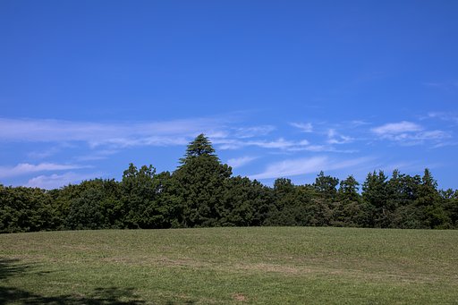 空が澄んできました