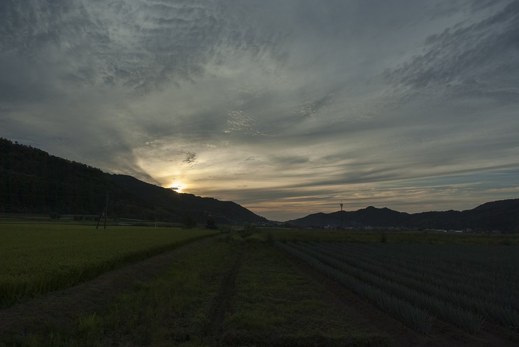 夕空。