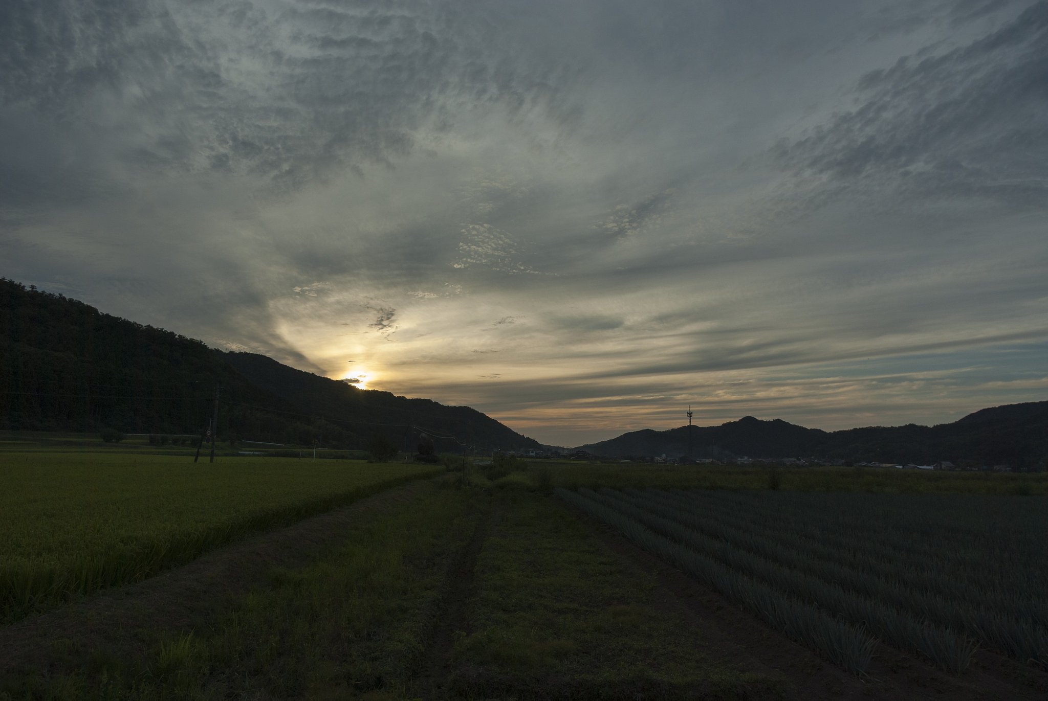 夕空。
