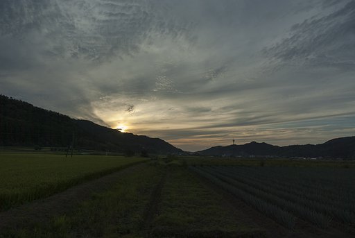 夕空。