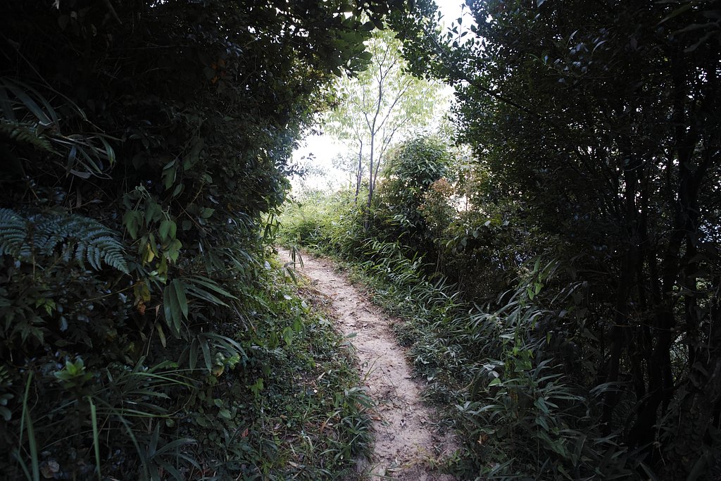 山道