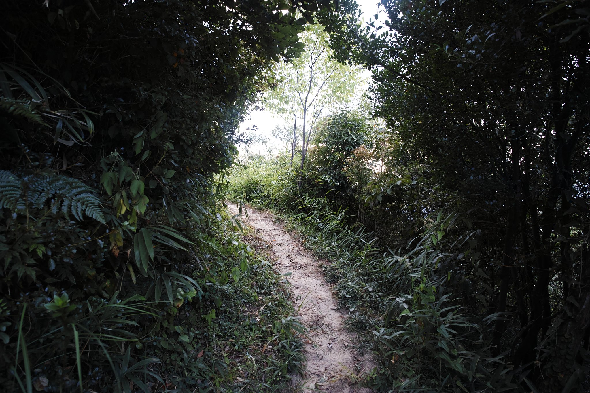山道